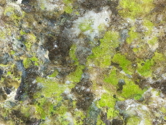 thumb_2014-05-11_14.45.40.jpg