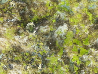 thumb_2014-05-11_14.45.45.jpg