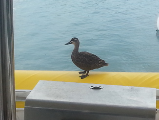 thumb_2014-05-13_10.02.23.jpg
