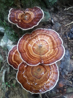 thumb_2014-05-14_10.27.29-1.jpg