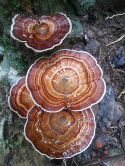 thumb_2014-05-14_10.27.29-2.jpg