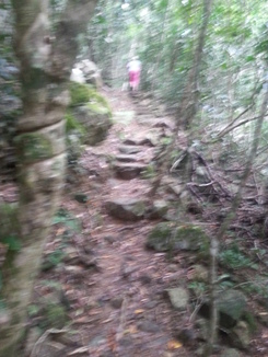 thumb_2014-05-14_10.37.24.jpg