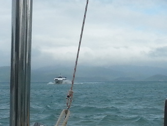 thumb_2014-05-16_08.29.56.jpg