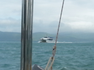 thumb_2014-05-16_08.30.09.jpg
