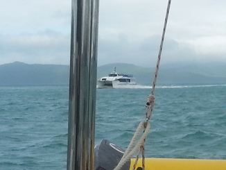thumb_2014-05-16_08.30.11.jpg