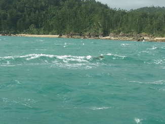 thumb_2014-05-16_16.03.07.jpg