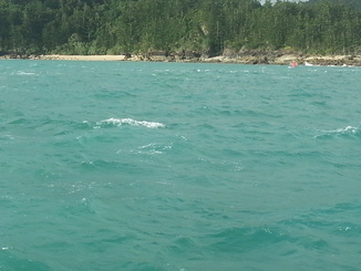 thumb_2014-05-16_16.03.38.jpg