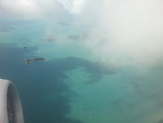 thumb_2014-05-17_12.39.29.jpg