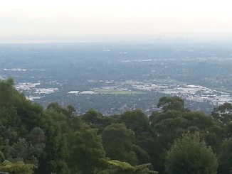 thumb_20140423_061620.jpg