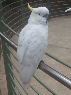 thumb_20140423_072924.jpg