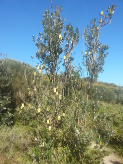 thumb_20140425_045002.jpg