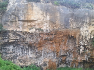 thumb_20140428_070305.jpg