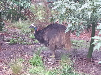 thumb_20140430_031735.jpg