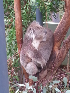 thumb_20140430_032930.jpg