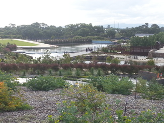 thumb_20140501_040256.jpg