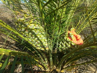 thumb_20140501_051601.jpg