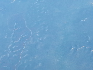 thumb_20140503_111539.jpg