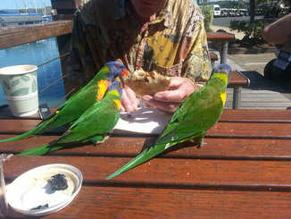 thumb_20140503_132518.jpg