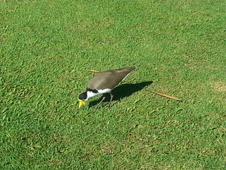 thumb_20140505_091206.jpg