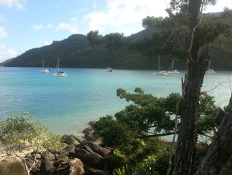 thumb_20140509_153855.jpg