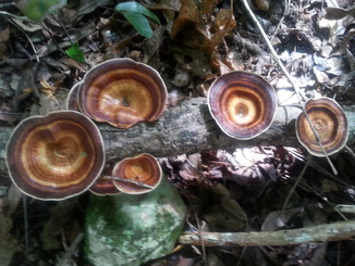 thumb_20140511_135708.jpg