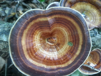 thumb_20140511_135719.jpg