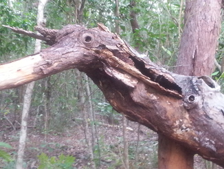 thumb_20140511_141646.jpg