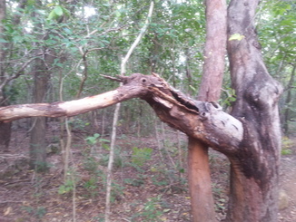 thumb_20140511_141655.jpg