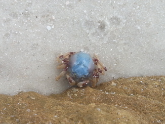 thumb_20140511_144433.jpg