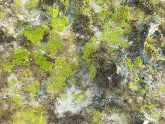 thumb_20140511_144541.jpg