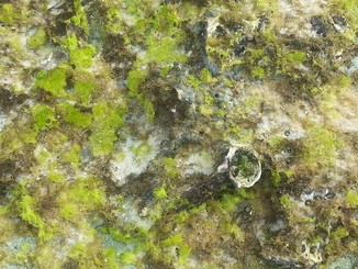 thumb_20140511_144545.jpg