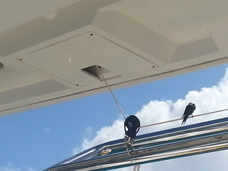 thumb_20140512_130425.jpg