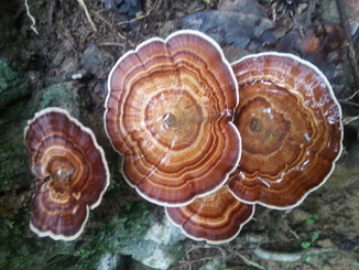 thumb_20140514_102729.jpg