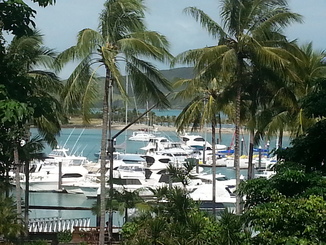 thumb_20140517_103234.jpg