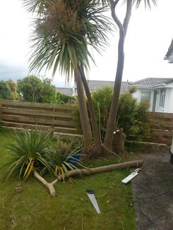 thumb_2014-06-03_13.10.32.jpg