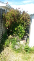 thumb_2014-06-04_14.10.25.jpg