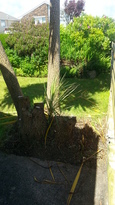thumb_2014-06-04_14.11.38.jpg
