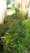 thumb_2014-06-05_09.05.25.jpg