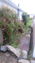 thumb_2014-06-05_21.05.51.jpg