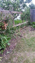thumb_2014-06-05_21.06.18.jpg