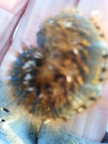 thumb_2014-06-21_21.07.11.jpg