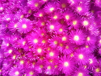 thumb_2014-06-22_12.22.43.jpg