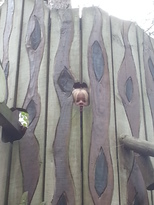 thumb_2014-06-30_12.21.10.jpg