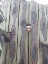 thumb_2014-06-30_12.21.18.jpg