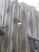 thumb_2014-06-30_12.21.19.jpg