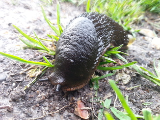 thumb_20140524_160511.jpg