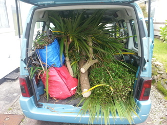 thumb_20140603_132611.jpg