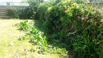 thumb_20140604_134940.jpg