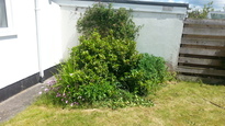 thumb_20140604_140958.jpg