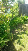 thumb_20140604_141044.jpg